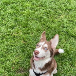 Meet your Posher, Rolando